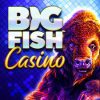 Big Fish Social Casino Reviews & Bonus Code 2022